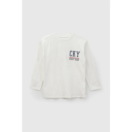 Pack x2 polera manga larga con estampado niño