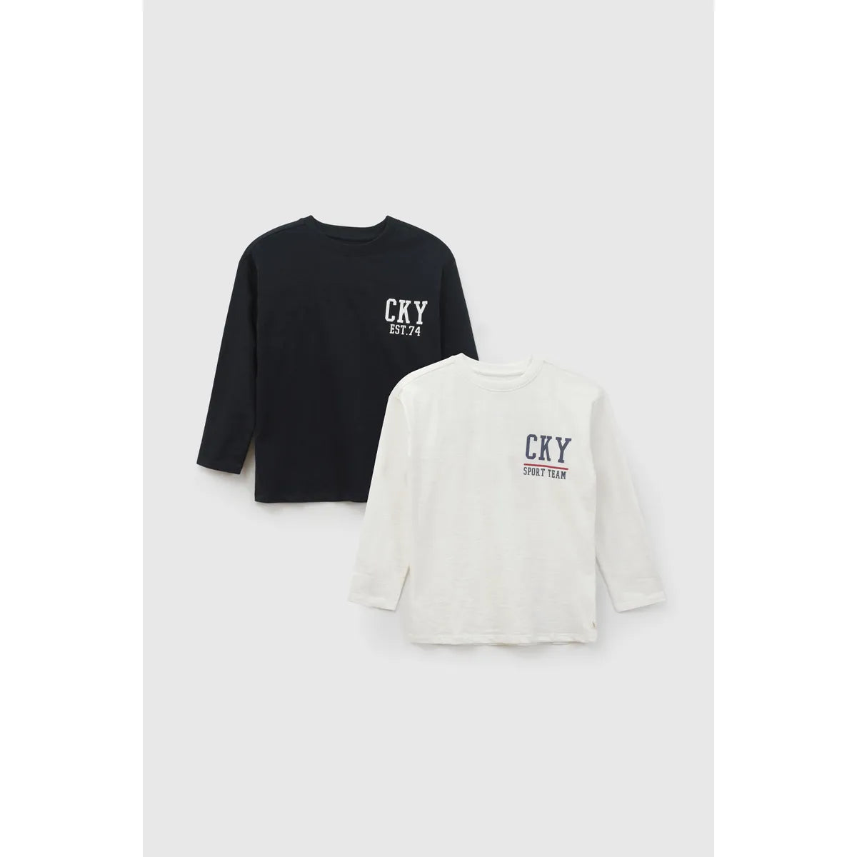 Pack x2 polera manga larga con estampado niño