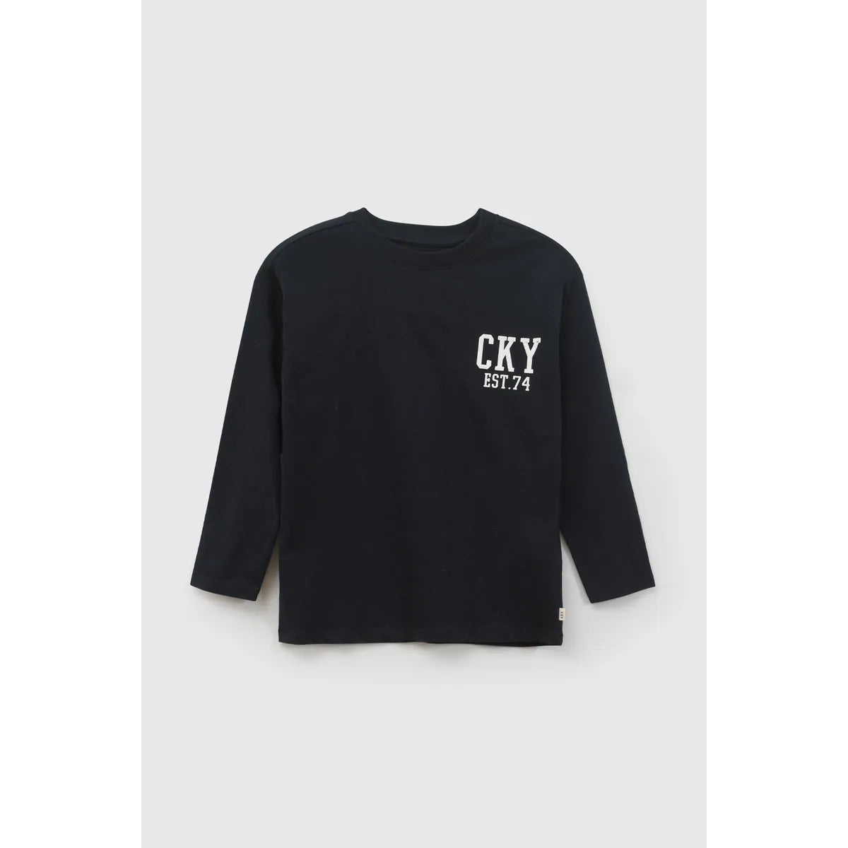 Pack x2 polera manga larga con estampado niño